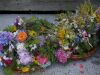 dsc00888